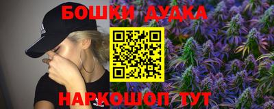 наркотики Кингисепп