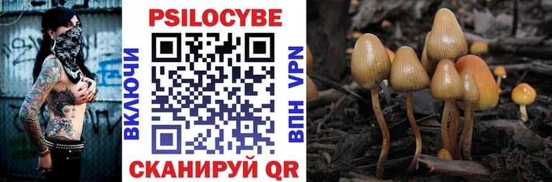 Галлюциногенные грибы Psilocybe  Югорск 