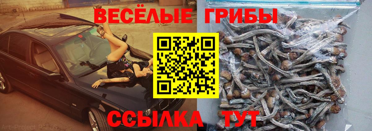 Галлюциногенные грибы мухоморы Югорск