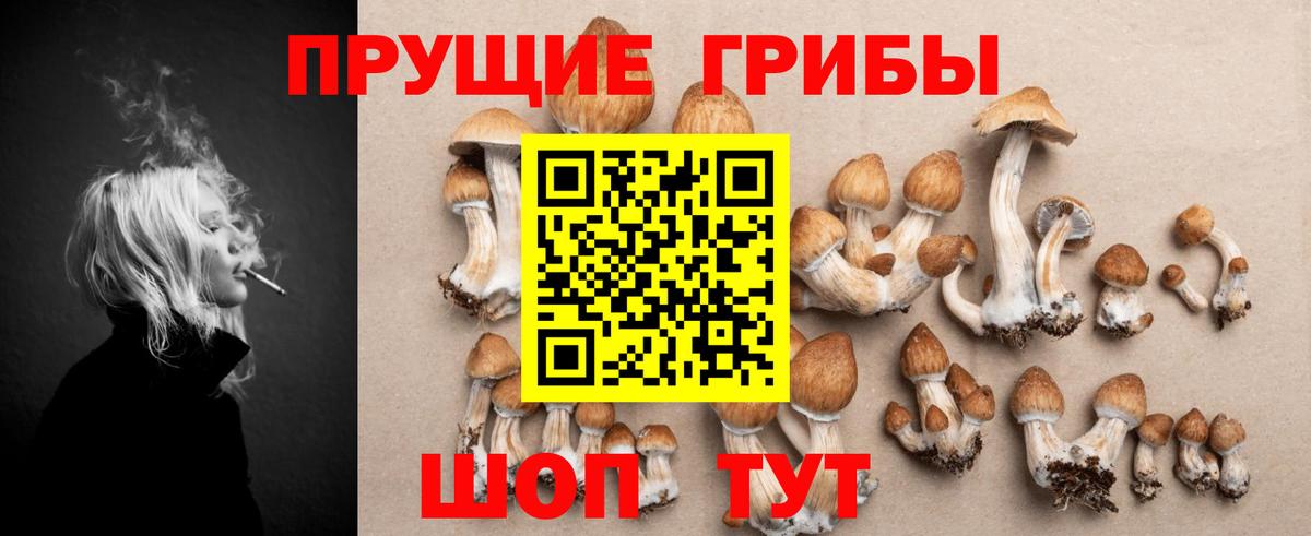 Югорск  Псилоцибиновые грибы MAGIC MUSHROOMS  Псилоцибиновые грибы мухоморы  Вход с VPN 